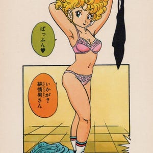 1992 DRAGON BALL Pocztówka Oryginalna hiszpańska Vintage 15 x 10,5 cm. (6" x 4") Premiera #19