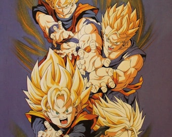 1993 Dragon Ball Double-Sided Mini-Poster (2 Posters in 1) Spanish Vintage Item 10.8” x 8.5" ( 27.5 cm. x 21.5 cm. ) #30