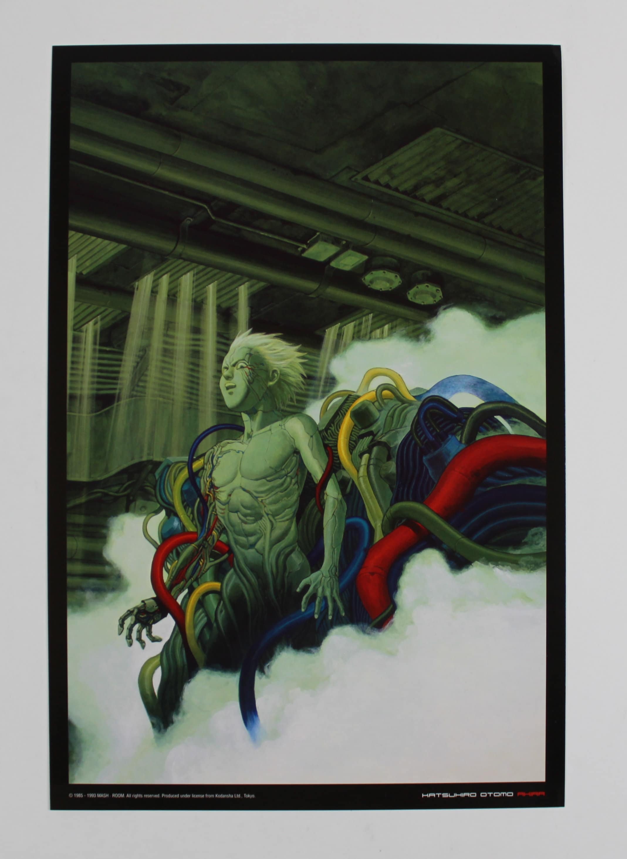 1993 AKIRA (katsuhiro Otomo) Hard Cardboard POSTER - Original