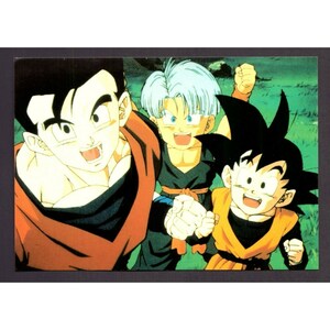 POSTAL DE DRAGON BALL DE LOS AÑOS 90 Akira Toriyama 15 x 10,5 cm (6" x 4,25") Gohan #6