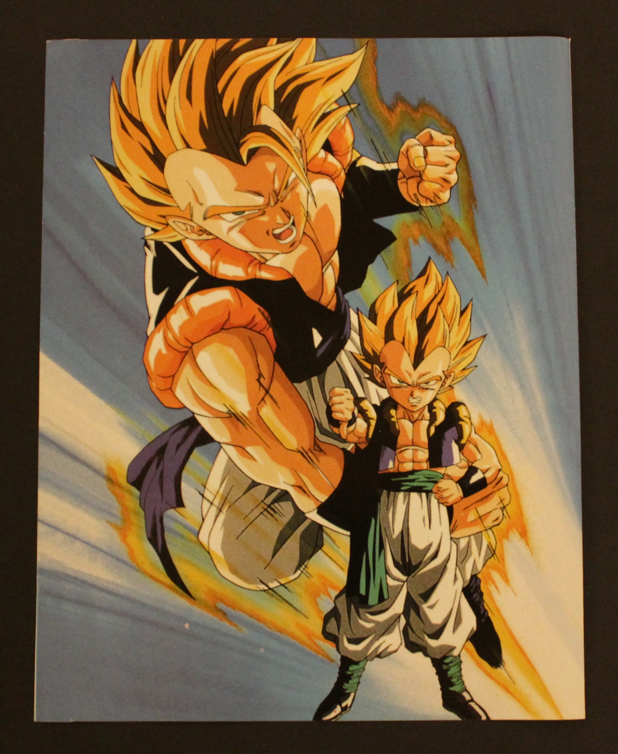 DRAGON BALL TABLEAU Son Goku toile sans cadre 30×40cm poster haute qualité EUR 24,08 - FR