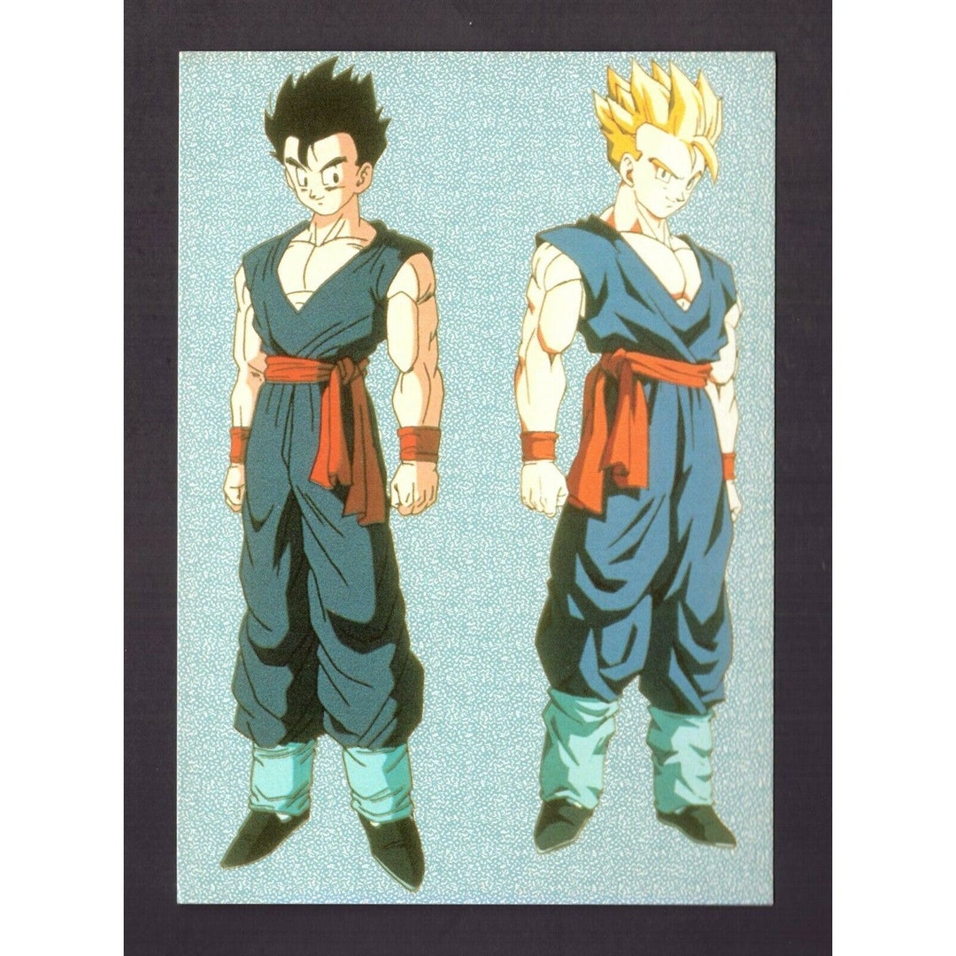 1990s DRAGON BALL POSTCARD Akira Toriyama 15 X 10.5 Cm. (6