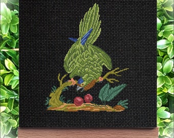 Berlin wool work, Vintage cross stitch patterns Bird and berry , antique cross Stitch, Vintage bird parrotcross stitch pattern