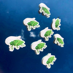 Sticker vinyle Katydid