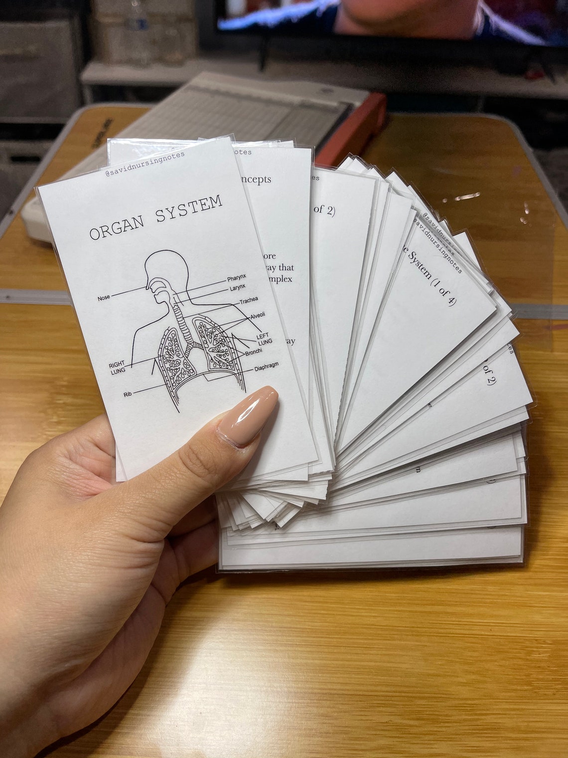 Organ System Flash cards Nursing flash cards Nurse Gifts Etsy