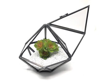 Windowsill Terrarium Etsy
