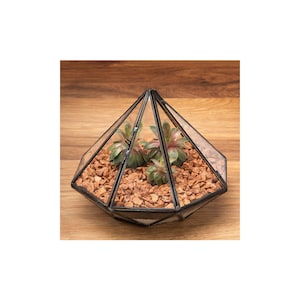 May include: A glass geometric terrarium with a diamond shape, featuring a black metal frame and a clear glass top. The terrarium is filled with small brown stones and three green succulents.
