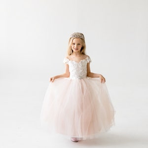 Blush Flower Girl Dress, Lace Flower Girl Dresses, Tulle Girls Gown, Baby Girl, Infant, Princess Tutu, 1st Birthday Outfit image 1
