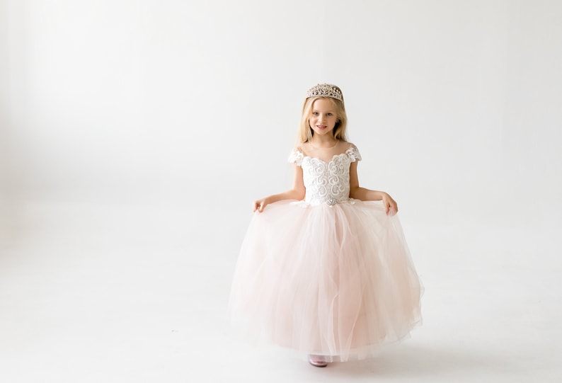 Blush Flower Girl Dress, Lace Flower Girl Dresses, Tulle Girls Gown, Baby Girl, Infant, Princess Tutu, 1st Birthday Outfit image 1