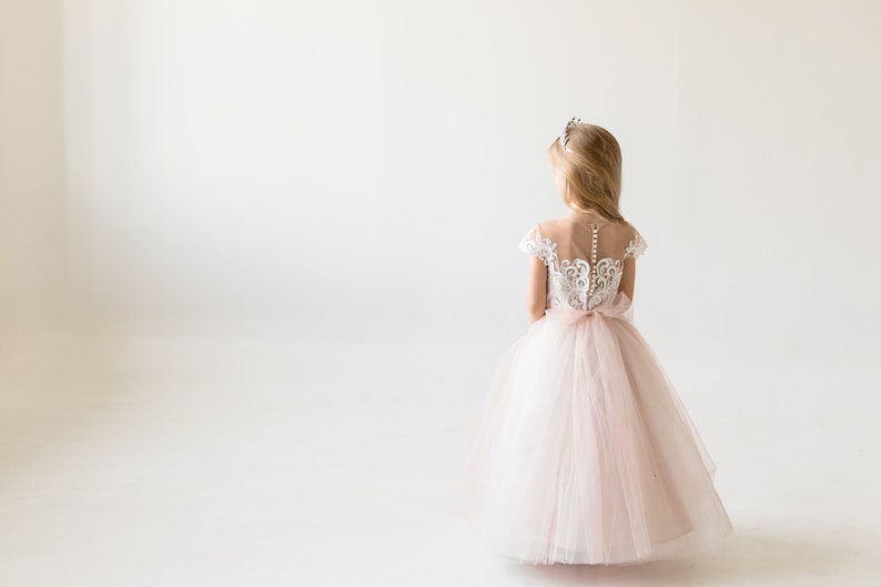 Blush Flower Girl Dress, Lace Flower Girl Dresses, Tulle Girls Gown, Baby Girl, Infant, Princess Tutu, 1st Birthday Outfit image 6