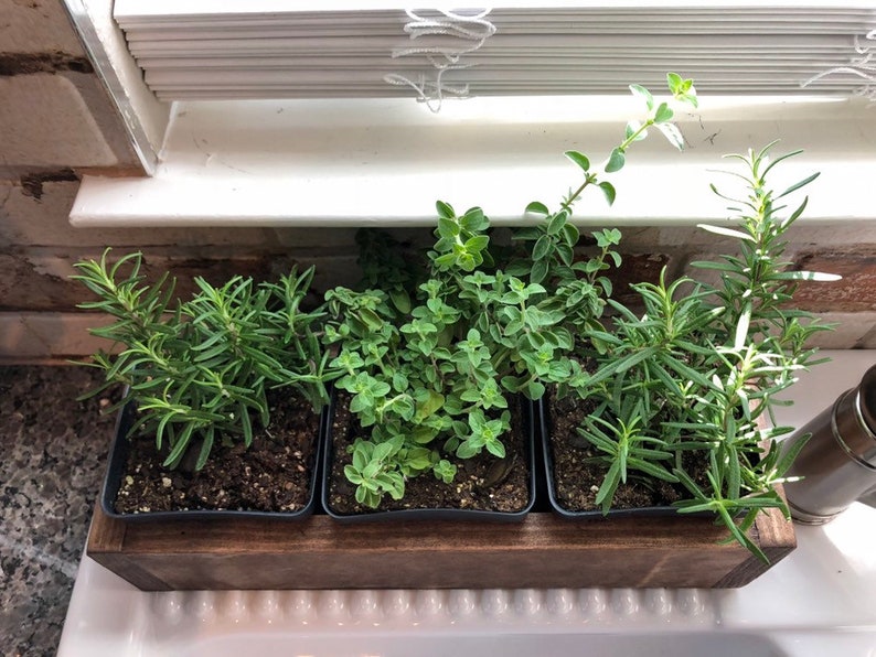 Indoor Herb Planter