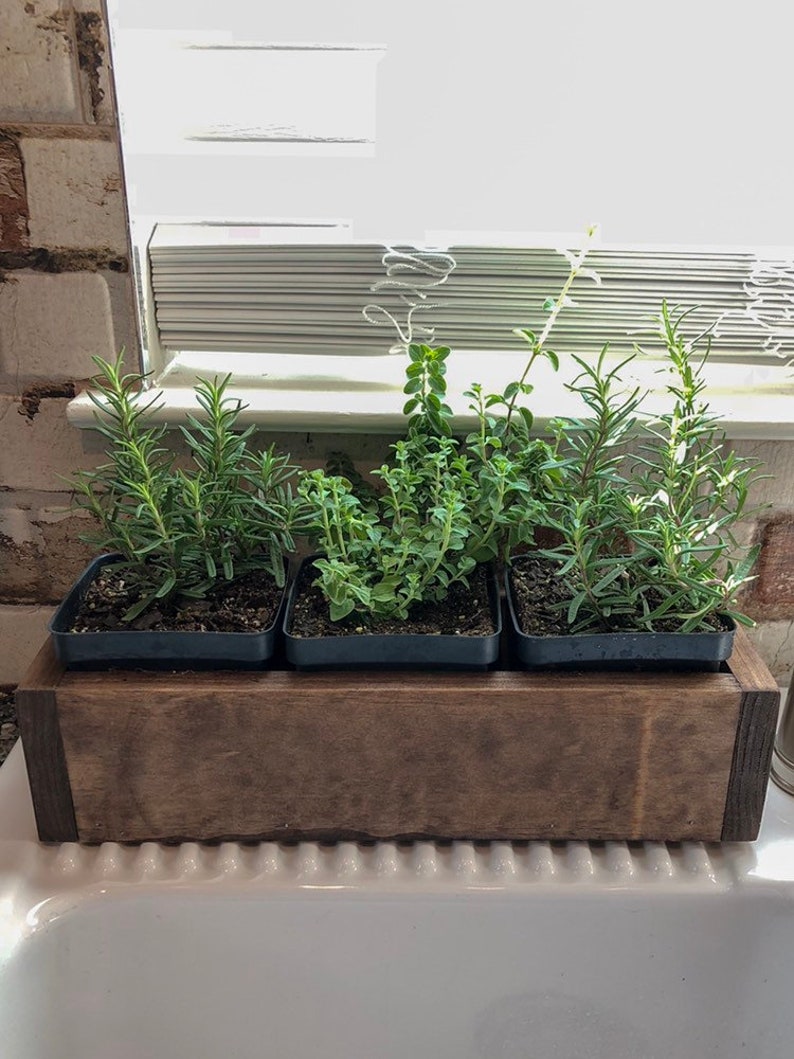 Indoor Herb Planter