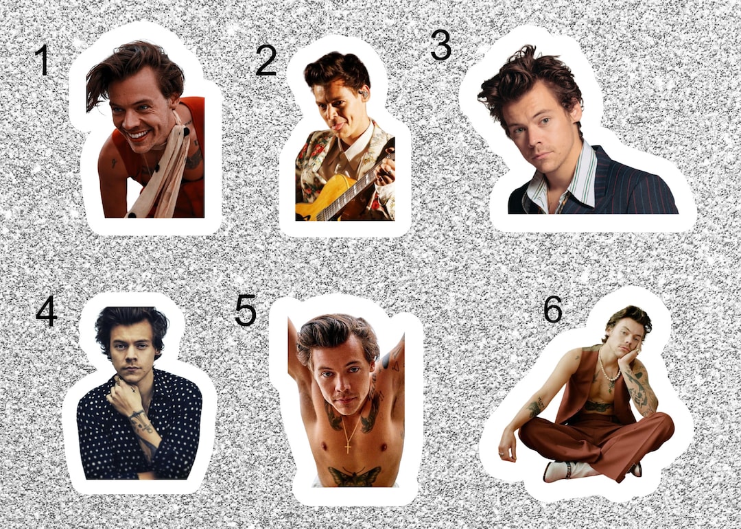 Harry Styles Stickers Etsy