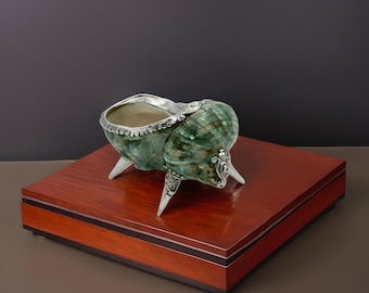 Artistic Turbo Shell Vase, Silver Accents, Coastal Elegance for Interior Styling