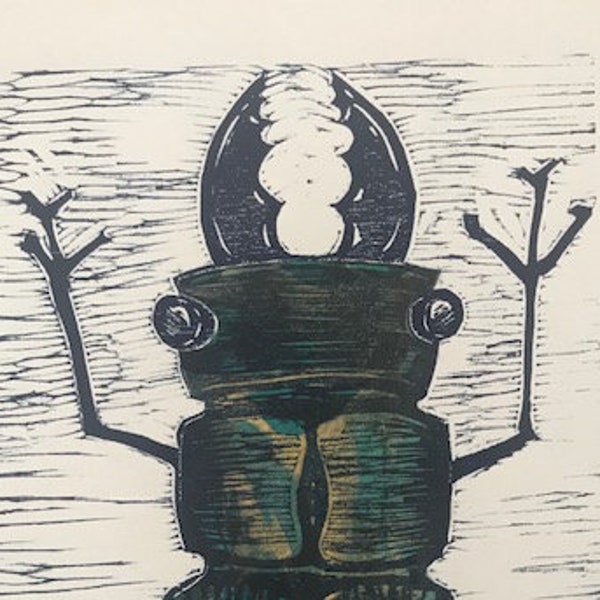 Beetle Artwork - An Original Woodcut Print with Marbled Momi Chine Colle Paper, Woodblock Print by Christi Blatchley Art | Christi Blatchley