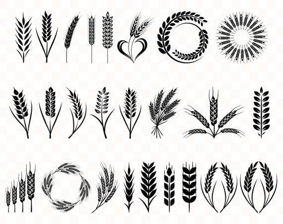 Download Wheat Svg Wheat Svg Bundle Grain Svg Wheat Clipart Wheat Image Etsy