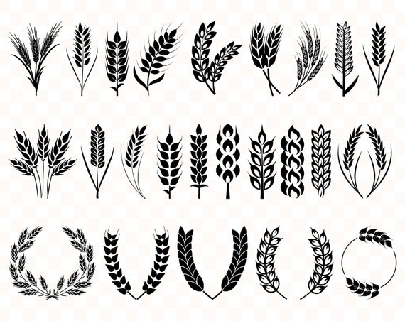 Download Wheat svg Wheat svg bundle Grain svg Wheat clipart Wheat clip | Etsy