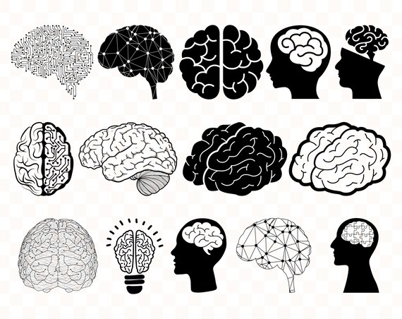 Cerveau Cerveau Humain Svg Cerveau Clipart Cerveau Svg Etsy
