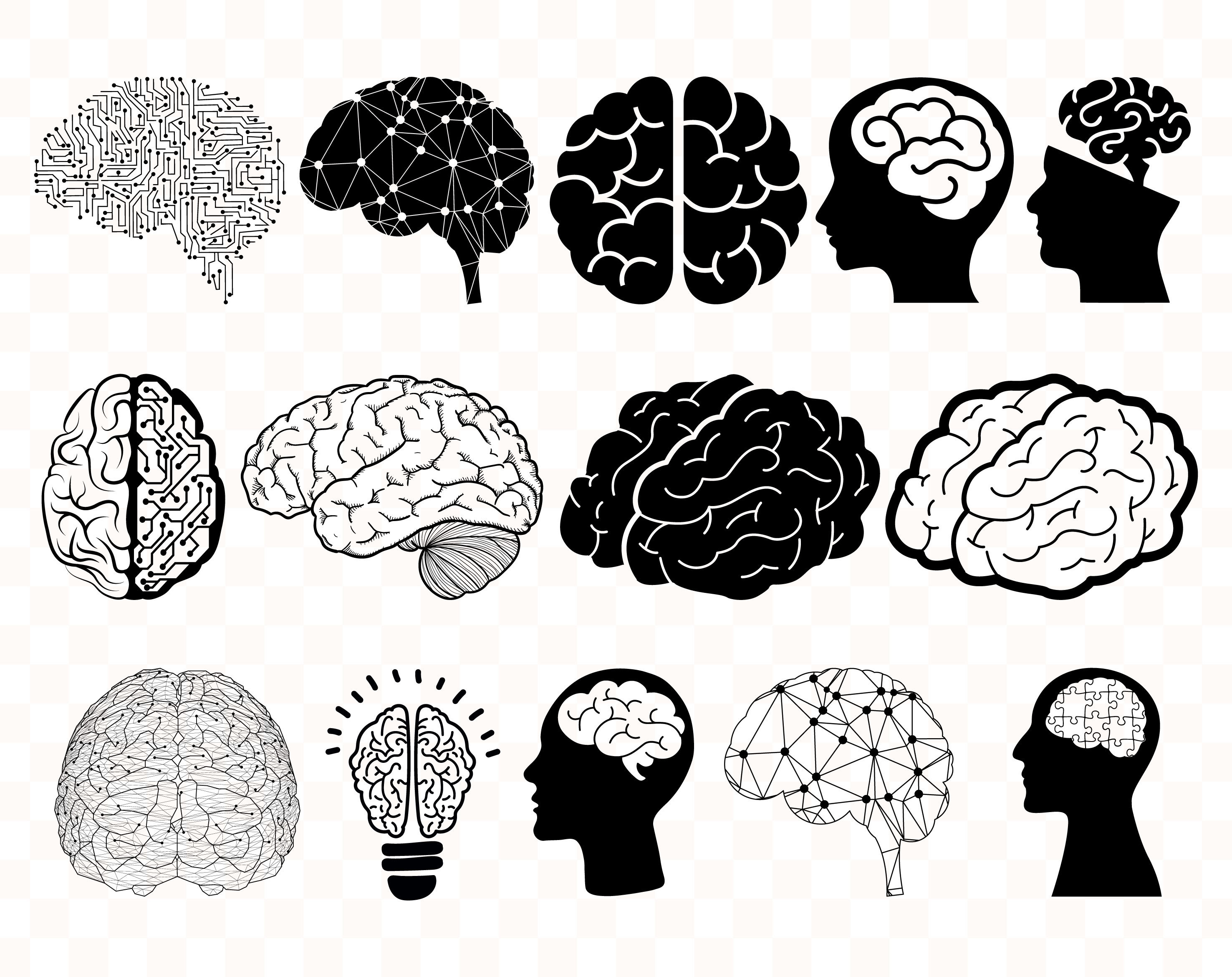 Download Brain Svg Human Brain Svg Brain Clipart Brain Svg Files Brain Etsy