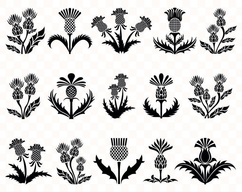 Download Thistle svg Thistle svg files Thistle instant download | Etsy