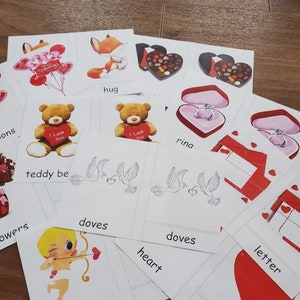 Valentine's Day (SPANISH) Montessori 3-Part Cards