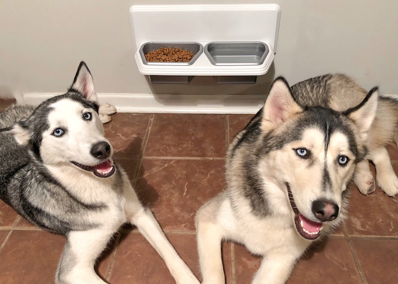 Elevated Bowls Gray and White 4 /& 2 Cup Wall Mounted Pet Dish Set Cat or Small Dogs Kitchen Dog Elevated feeder Small