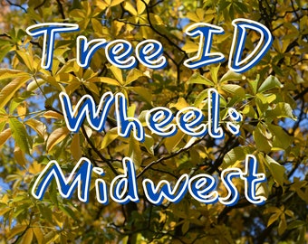 MIDWEST Tree ID Wheel | Leaf Identification | Nature Study | Homeschool | Printable