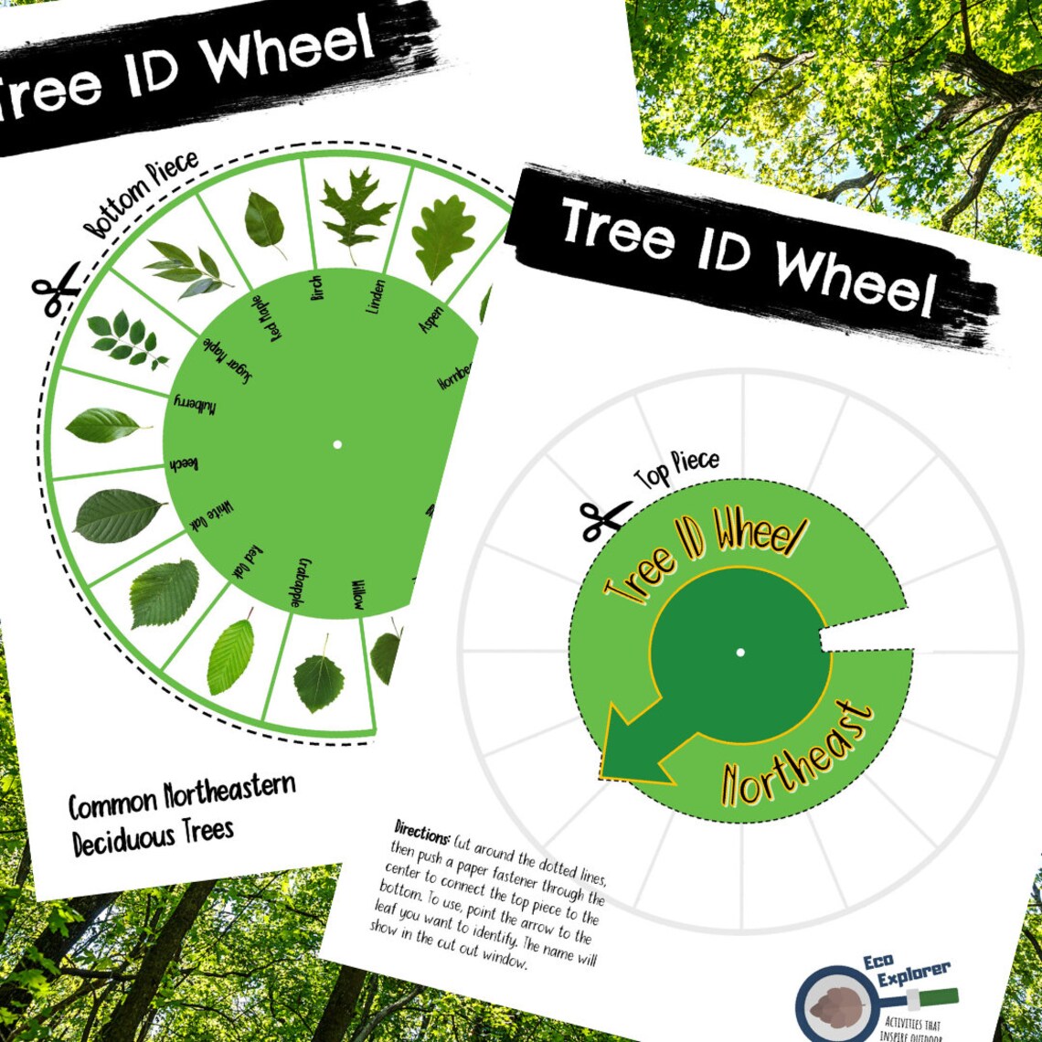 NORTHEAST Tree ID Wheel Leaf Identification Nature Study Etsy