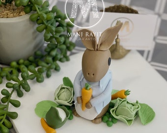 Peter Rabbit & Vegetables Cake Toppers