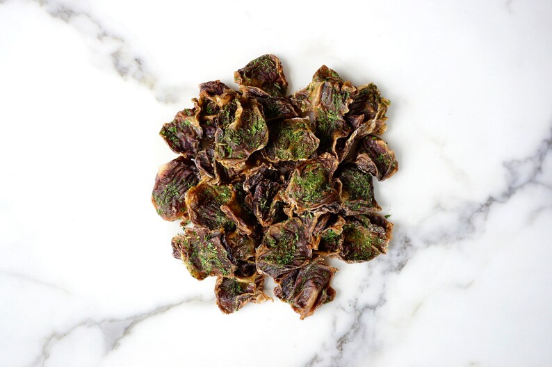 Chicken Gizzard Jerky Organic Dog Treat 5oz. dehydrate Etsy