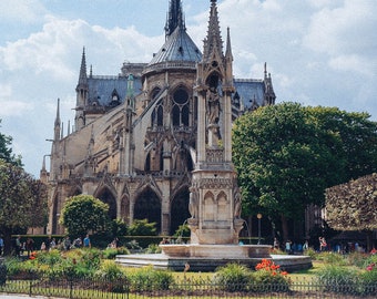 Behind Notre Dame