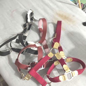 Hobby Horse Halters - A4 SIZE - 3 colors available!