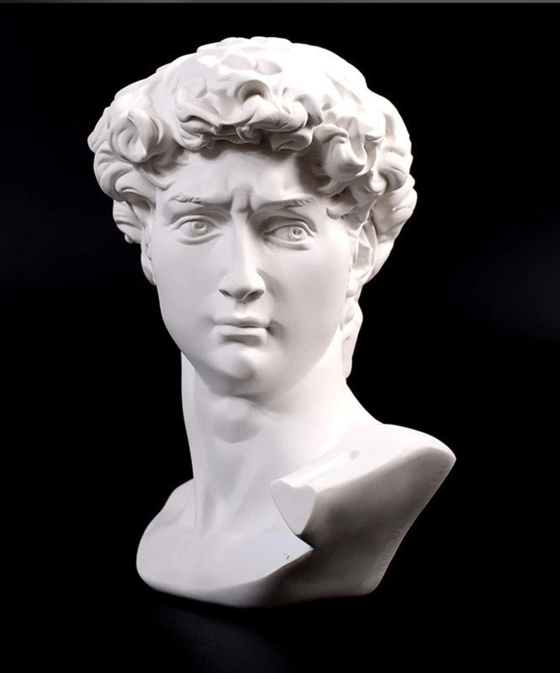 Michelangelo's David Head Bust Portretten Art Sculpture Etsy