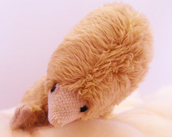 mole teddy