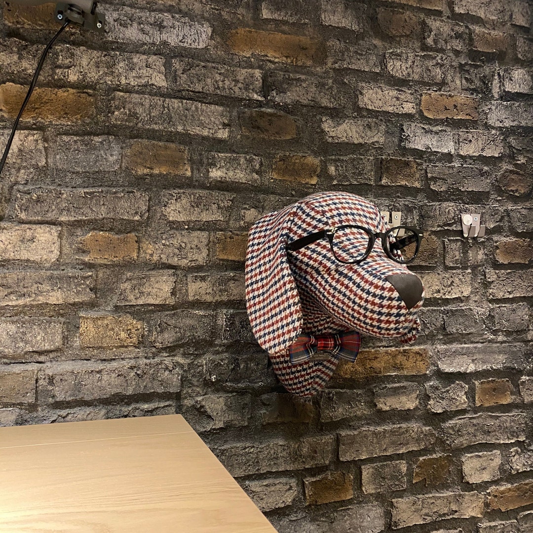 Dog Head, Wall Decor,animal Head in Wall Decor, Home Decor, Dog Gift