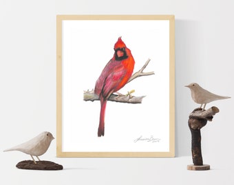 Cardinal art print, wall art, 8x10 art print