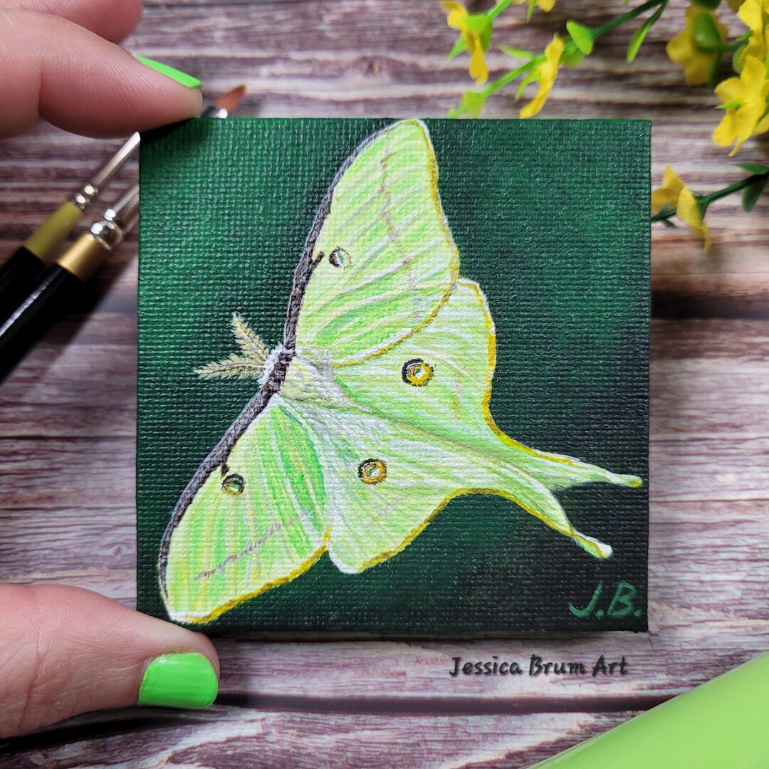 Luna Moth Mini Painting / 3"x3" Acrylic Art With Easel - Etsy