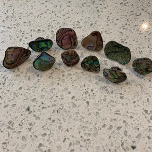 Abalone Tie tacks