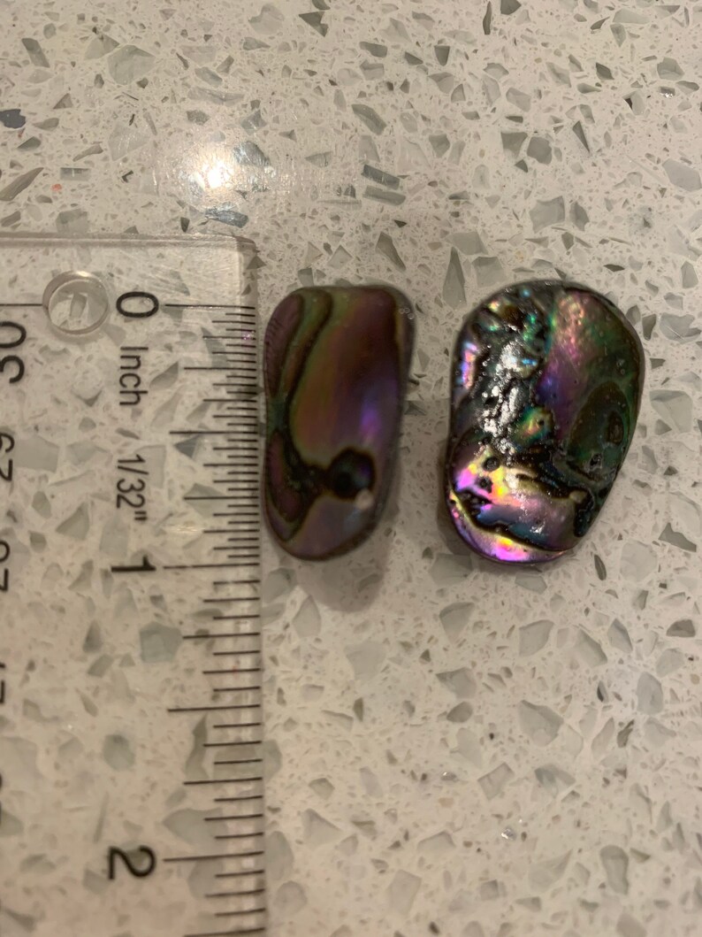Abalone shell stud earrings