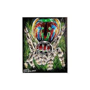 Peacock Jumping Spider painting