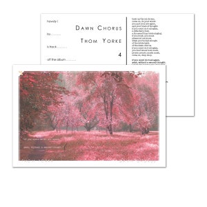 Dawn Chorus by Thom Yorke