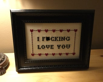 Framed & Finished Cross Stitch: I F'ing Love you