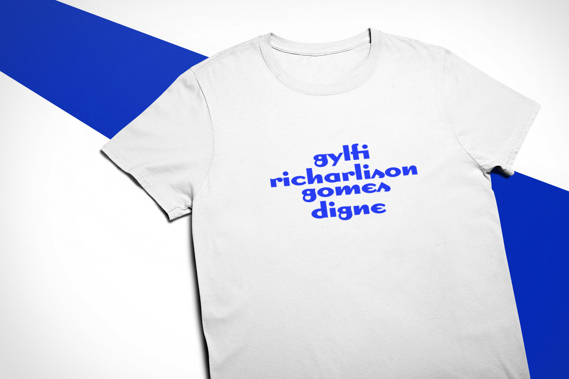 Its an Everton Thing T-Shirt Everton Fan T-Shirt Great Present Idea