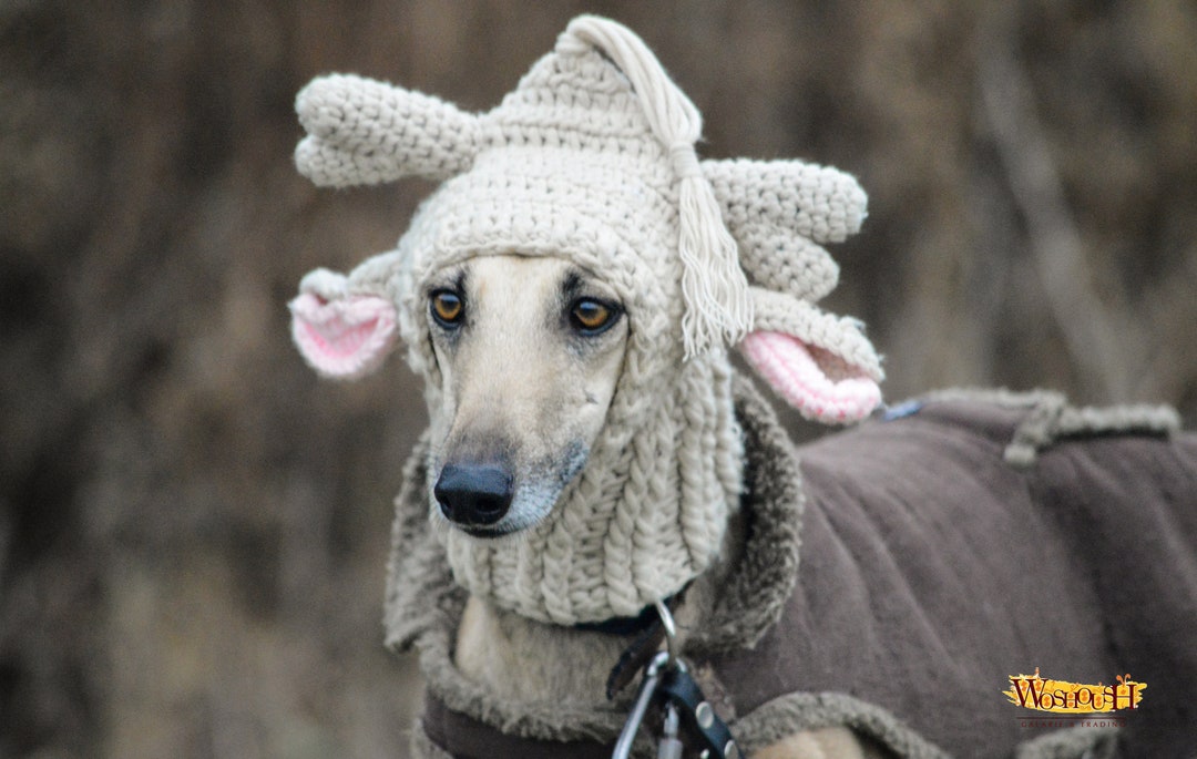 Warm Woolly Reindeer Hat for Dogs in VANILLA Color, Christmas Outfit