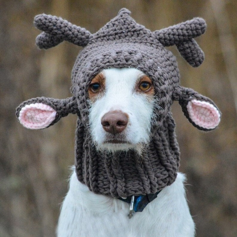 Warm Woolly Reindeer Hat for Dogs in CHOCOLATE BROWN, Christmas Outfit