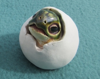Peeper (2 of 7): Life-size, hand-crafted ceramic sea turtle hatchling peeper (head peeking out of shell)