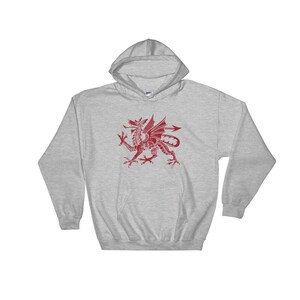 May include: A gray hooded sweatshirt with a red dragon graphic on the front. The dragon is a stylized version of the Welsh dragon.