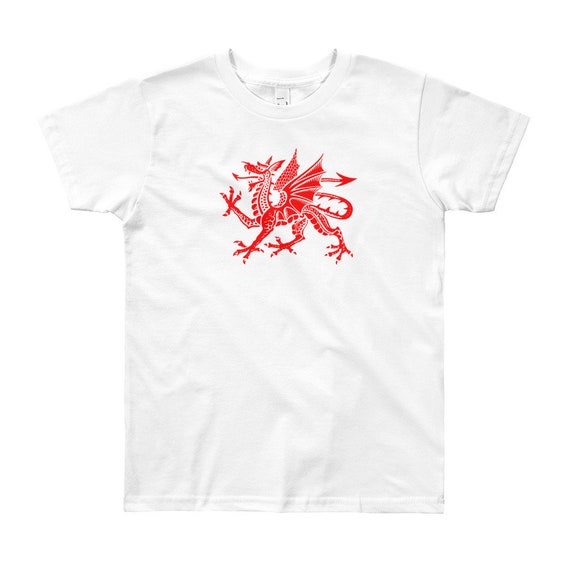 WALES WELSH FLAG present NEW xmas birthday gift ideas boys girls top T SHIRT