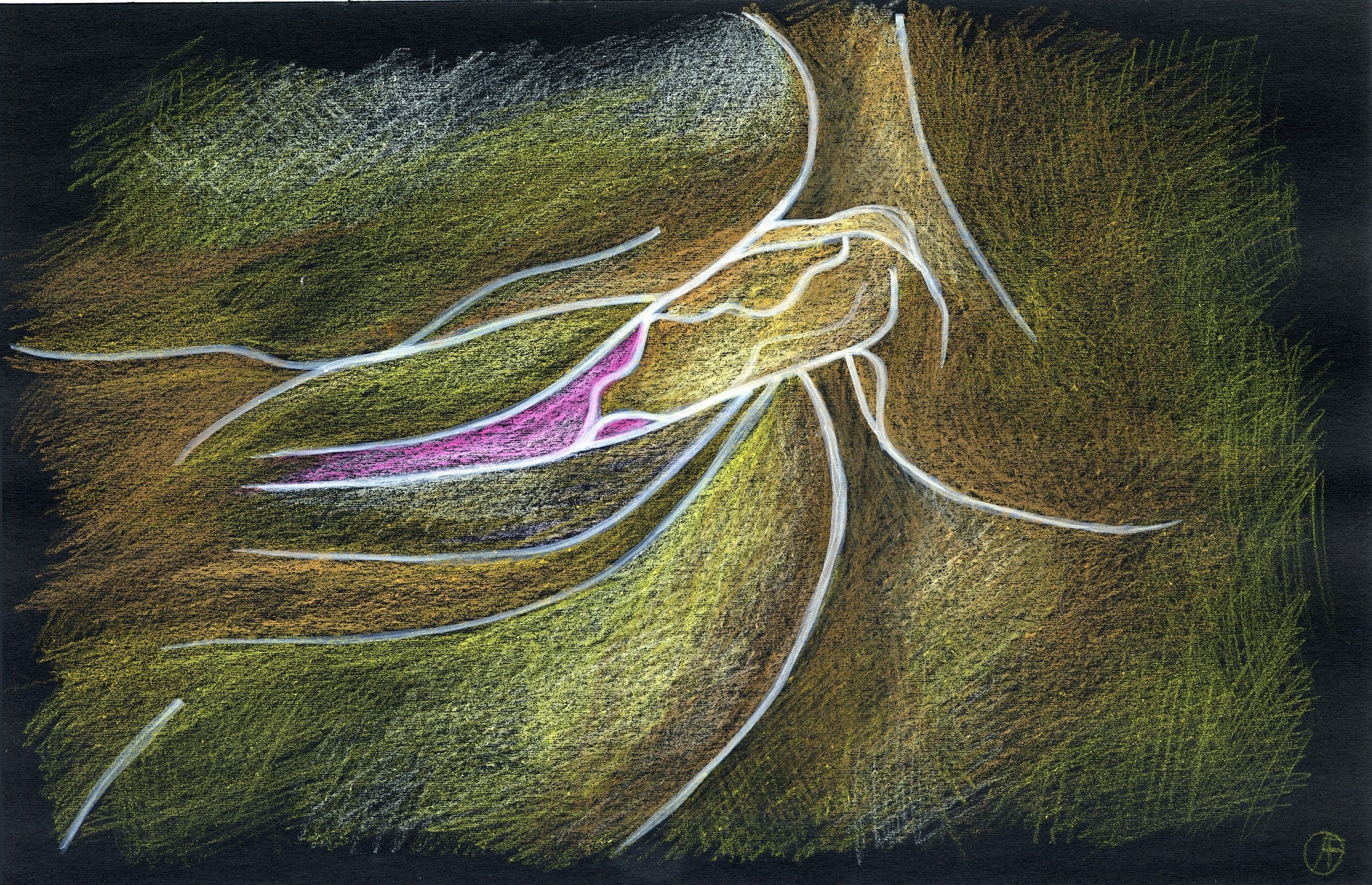 Vp3Colour Print Penis In Vagina Penetration Sexy Bedroom  Etsy