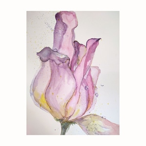 Tulpe Original Aquarell Bild Blume Wandbild  45x30 cm Zarte Blume Aquarell Malerei by Zoepictures